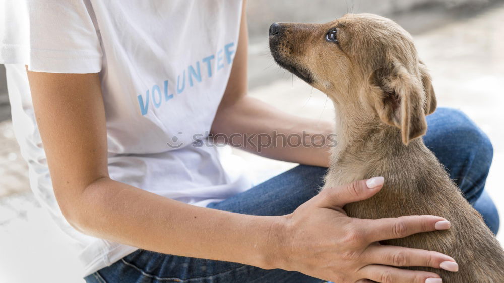 Image, Stock Photo R Ü C View Girl Head