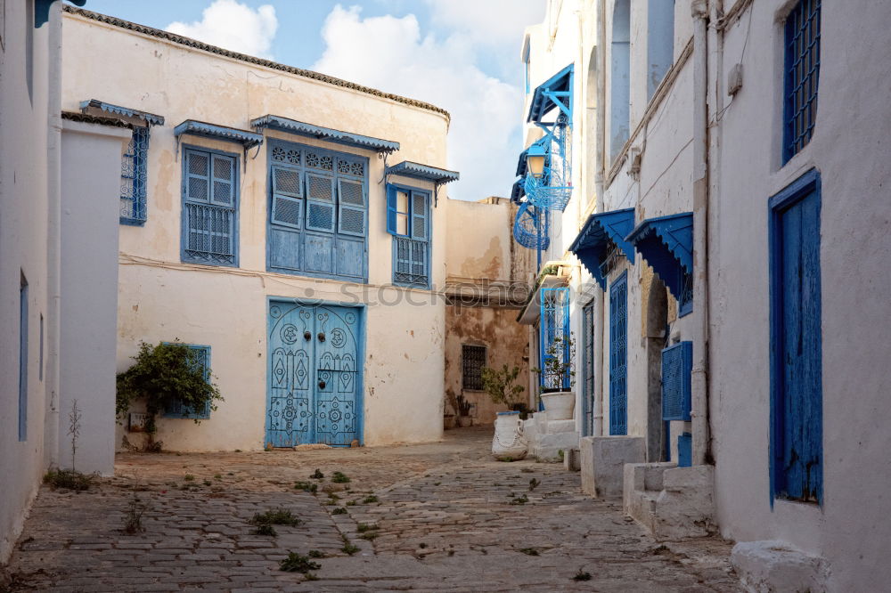 Similar – Image, Stock Photo Puppy at the street, Essaouira