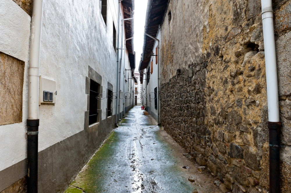 Similar – Image, Stock Photo the way is the goal. (and behind still the tower smuggled in)