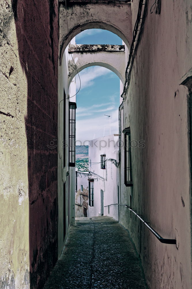 Similar – Image, Stock Photo united colours of portugal.