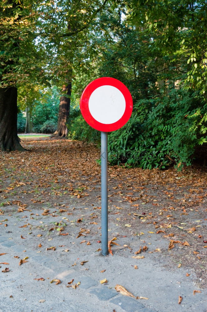 Similar – Zuversicht Erfolg Frühling