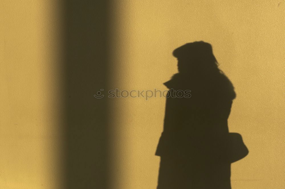 Similar – Shadow of a woman in a summer dress / Summer is casting its shadows