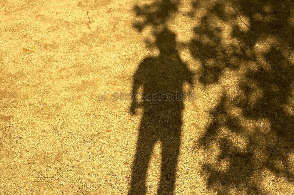 Image, Stock Photo shadow man Man Light