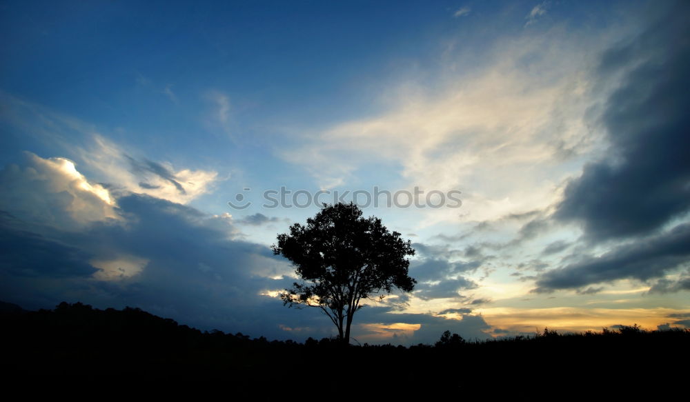 Similar – Foto Bild Ballon-Abend