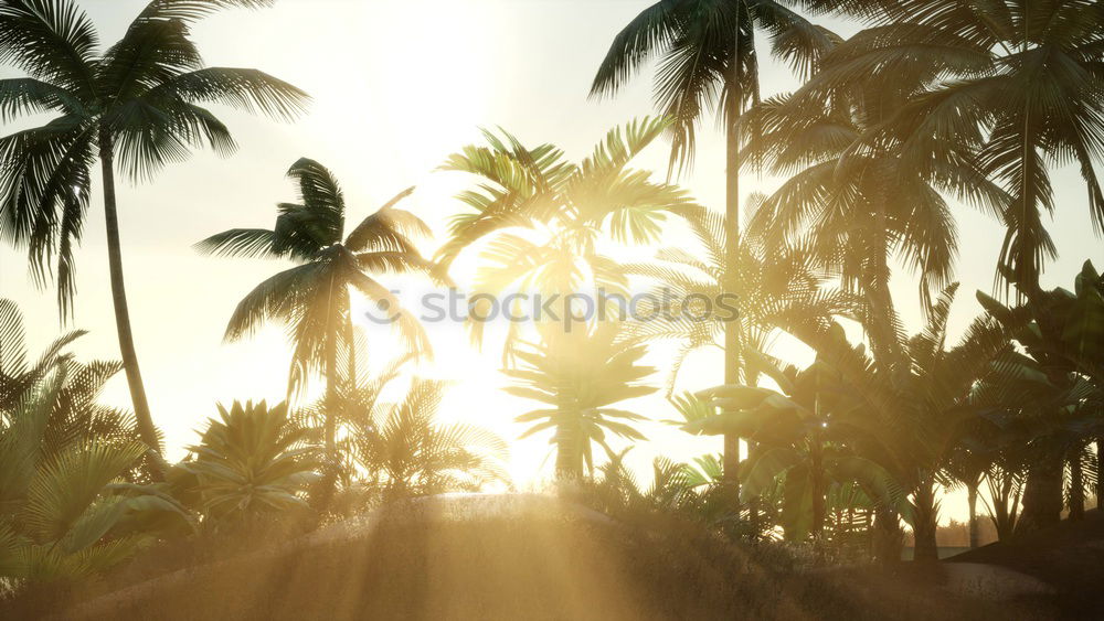 Similar – Image, Stock Photo translucent trees