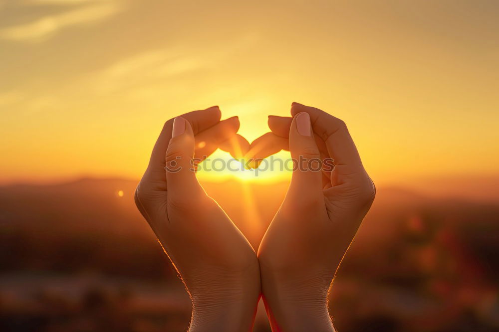 Similar – Image, Stock Photo Heart / Sun Lifestyle