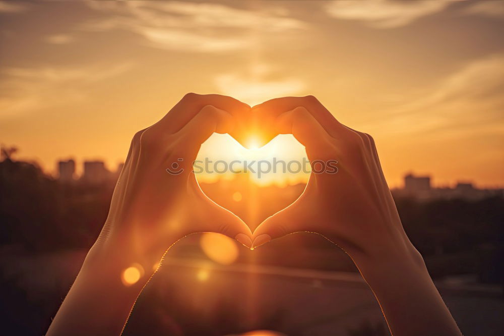 Similar – Image, Stock Photo Sunset heart Joy Beautiful