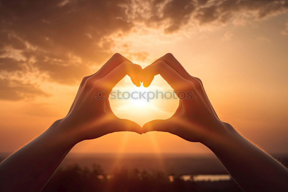 Similar – Image, Stock Photo Heart / Sun Lifestyle