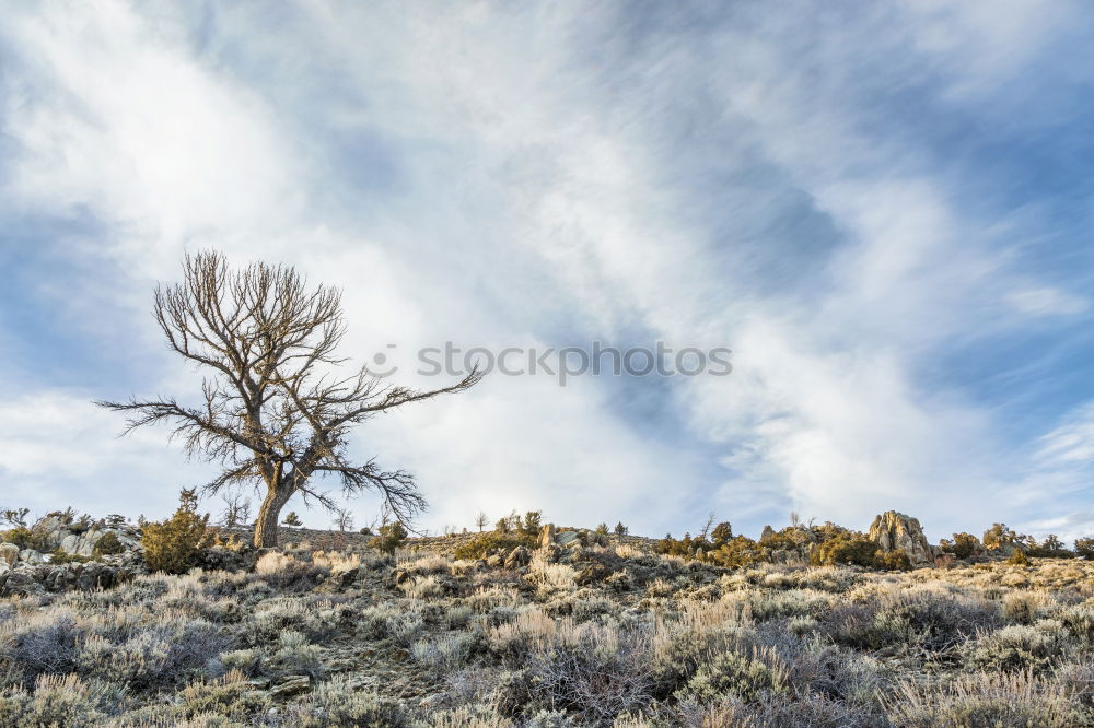 Similar – ghost town Storm clouds