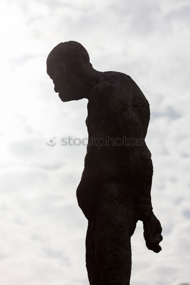 Similar – Image, Stock Photo horses Horse Sculpture