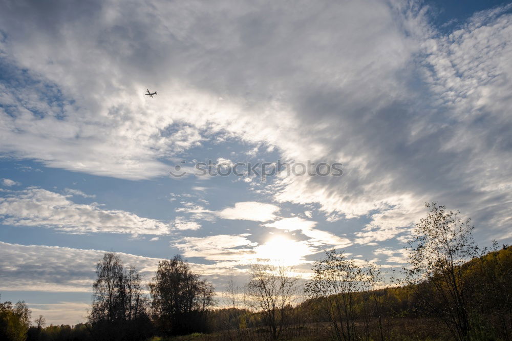 Similar – dry float Nature Landscape