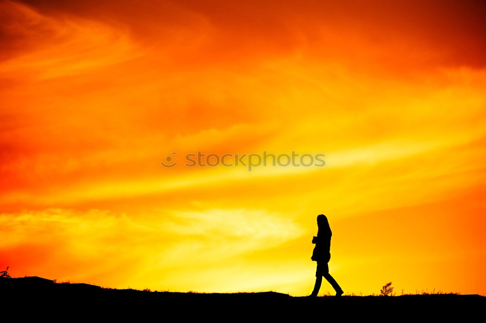 Similar – Image, Stock Photo Beautiful brunette girl