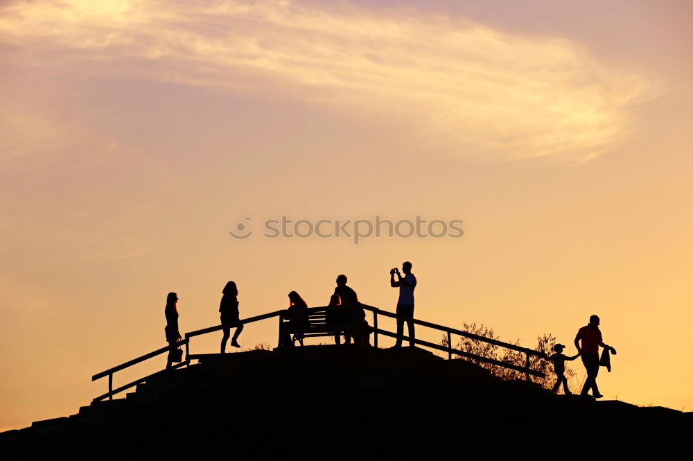 Similar – Sonnenanbeter. ästhetisch