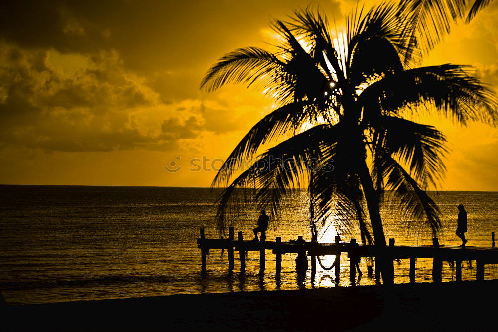 Similar – baywatch Beach Hawaii