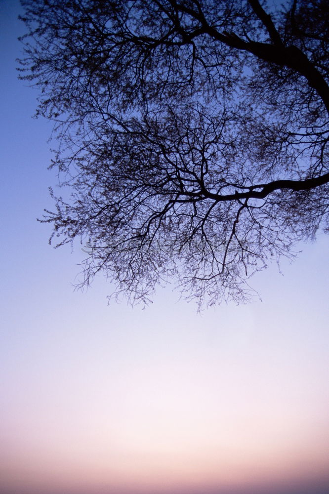 Similar – Image, Stock Photo The Sun goes down Sunset