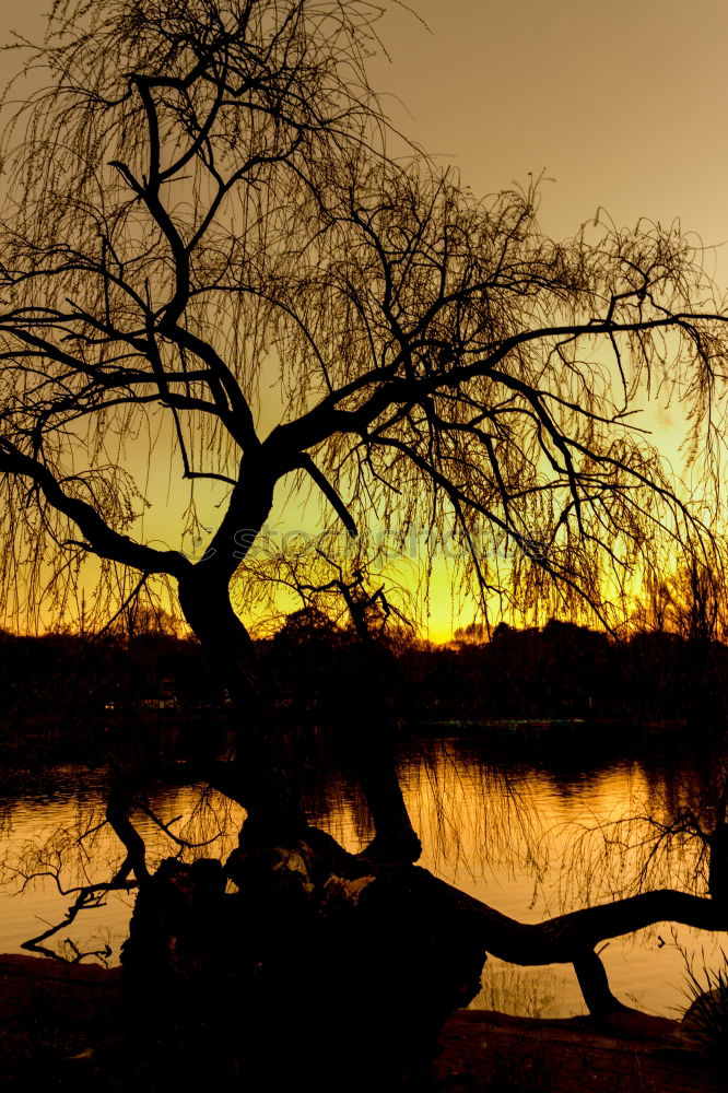 Similar – Lake in Sepia Environment