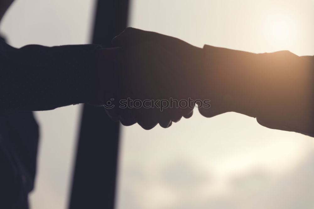 Similar – Image, Stock Photo Friends eating pizza at picnic in sunset