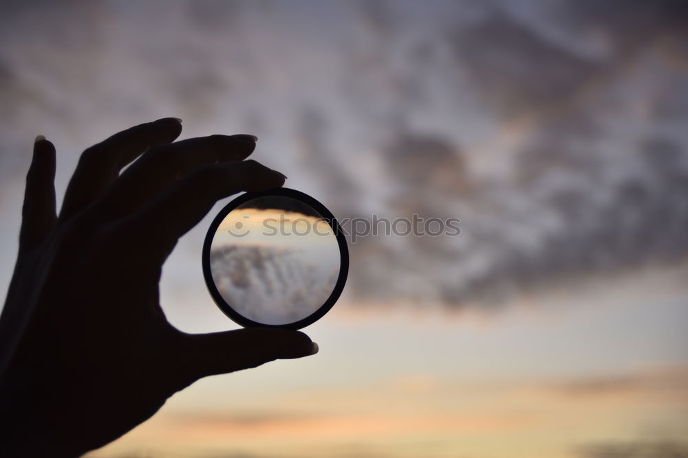 Similar – Image, Stock Photo Crop hand with fern leaf on road