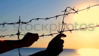 Similar – Image, Stock Photo Fence with a barbed wire