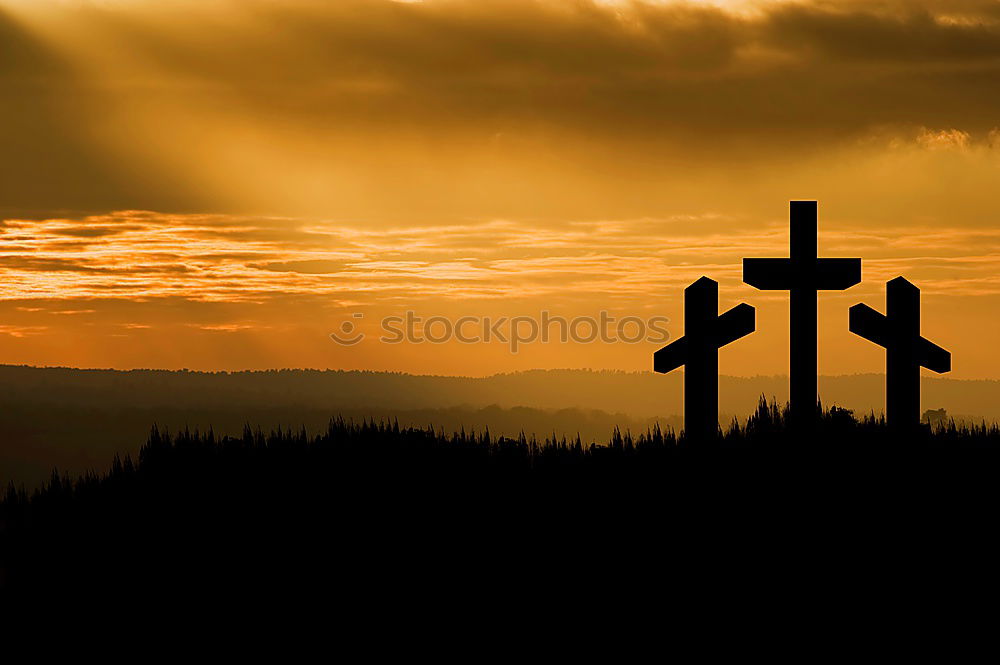 Similar – cemetery sunset Hallowe’en