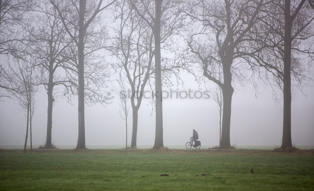 Similar – Image, Stock Photo ParkBank Nature Landscape