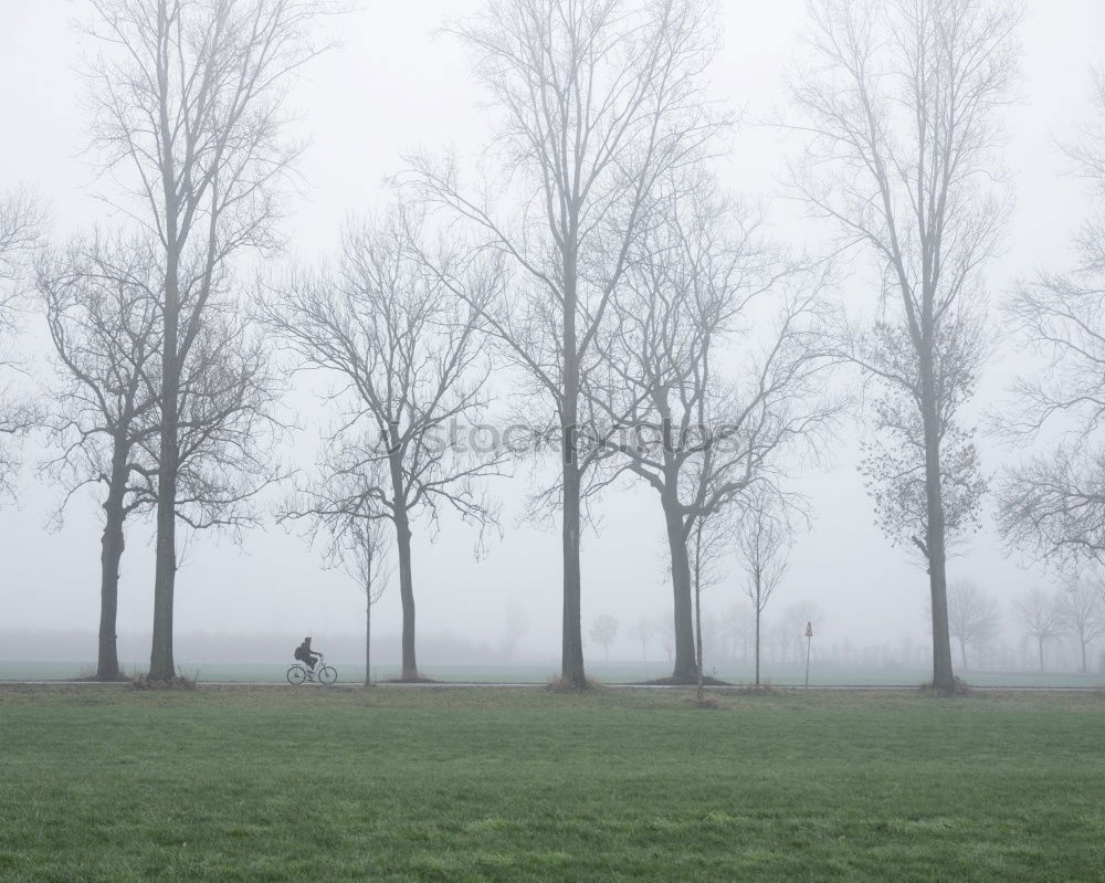 Similar – Hinter dem Zaun Erde Sand