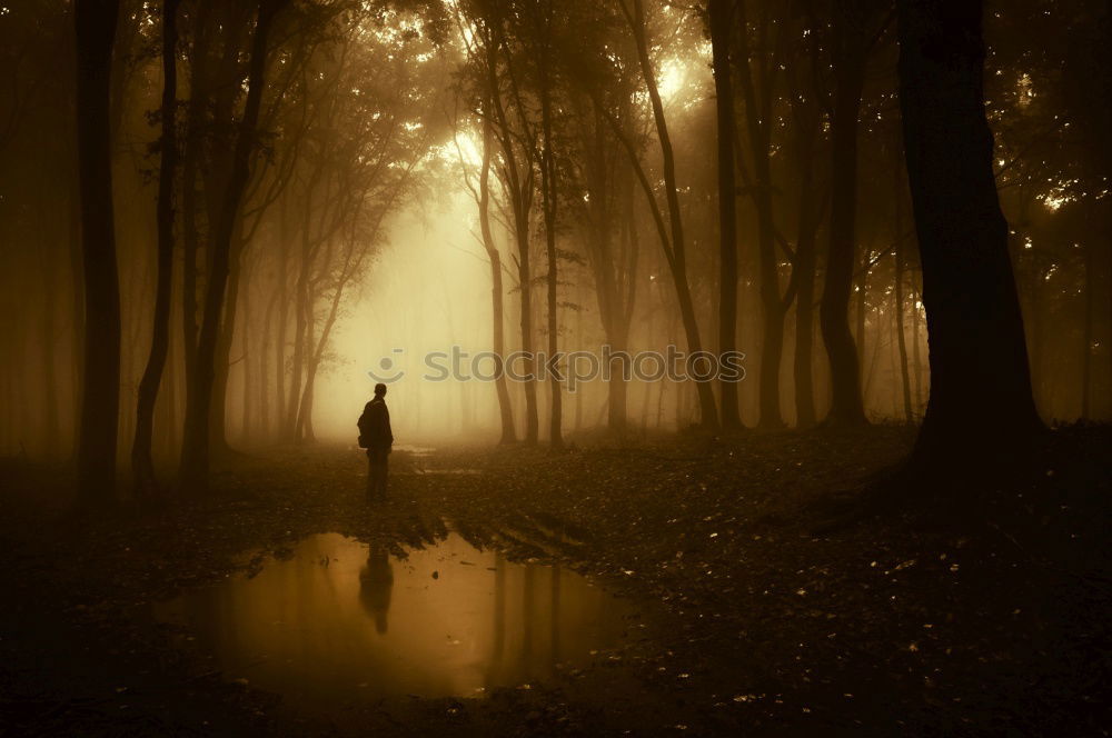 Similar – weder teich noch pfütze