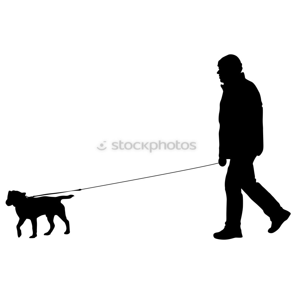 Similar – Image, Stock Photo chihuahua