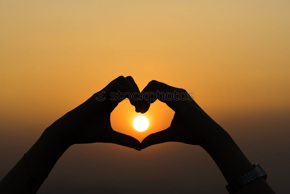 Similar – Image, Stock Photo Sunset heart Joy Beautiful