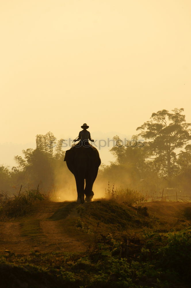 Similar – Departure, a lone rider with hat and blue shirt rides by