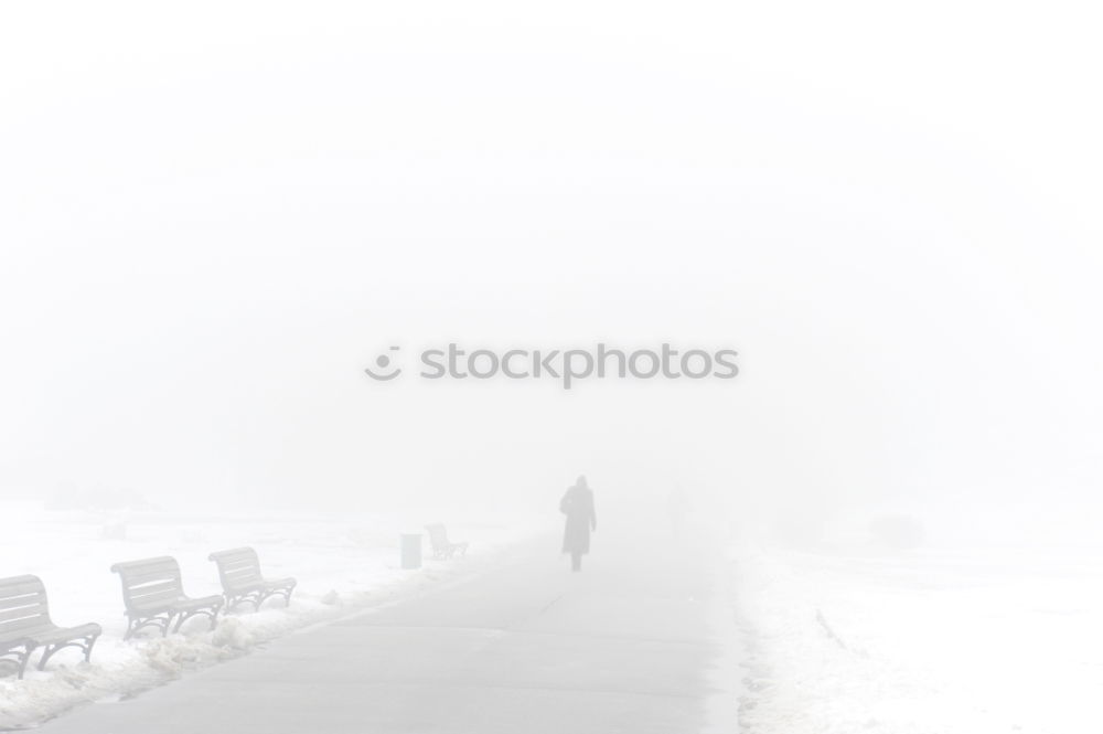 Similar – Image, Stock Photo wind chill Adventure