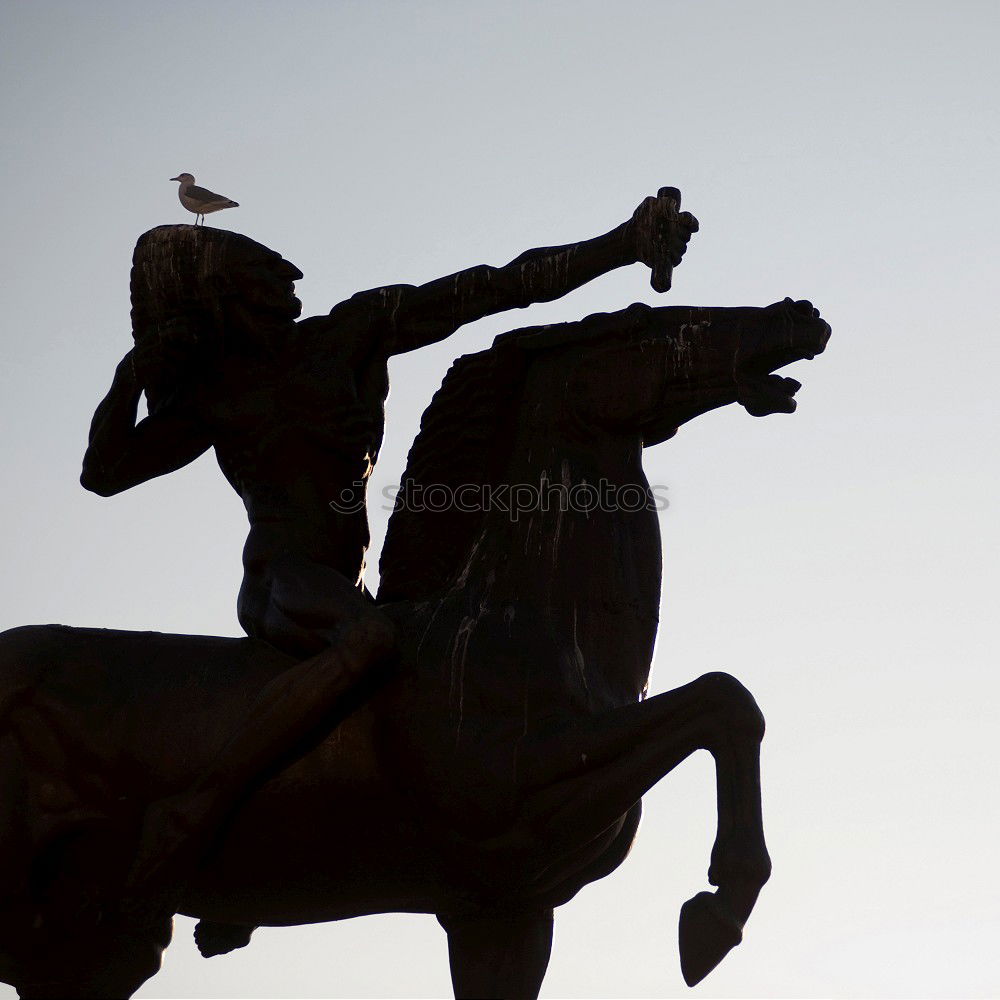 Similar – Lionking Buckingham Palace