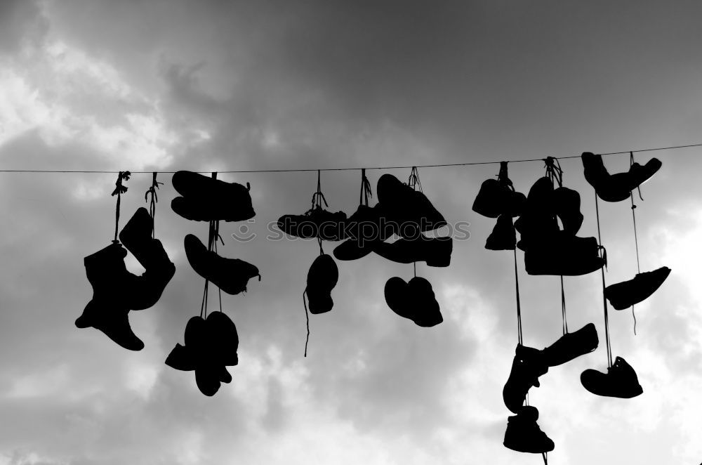 Similar – Image, Stock Photo three black pigeons Sky