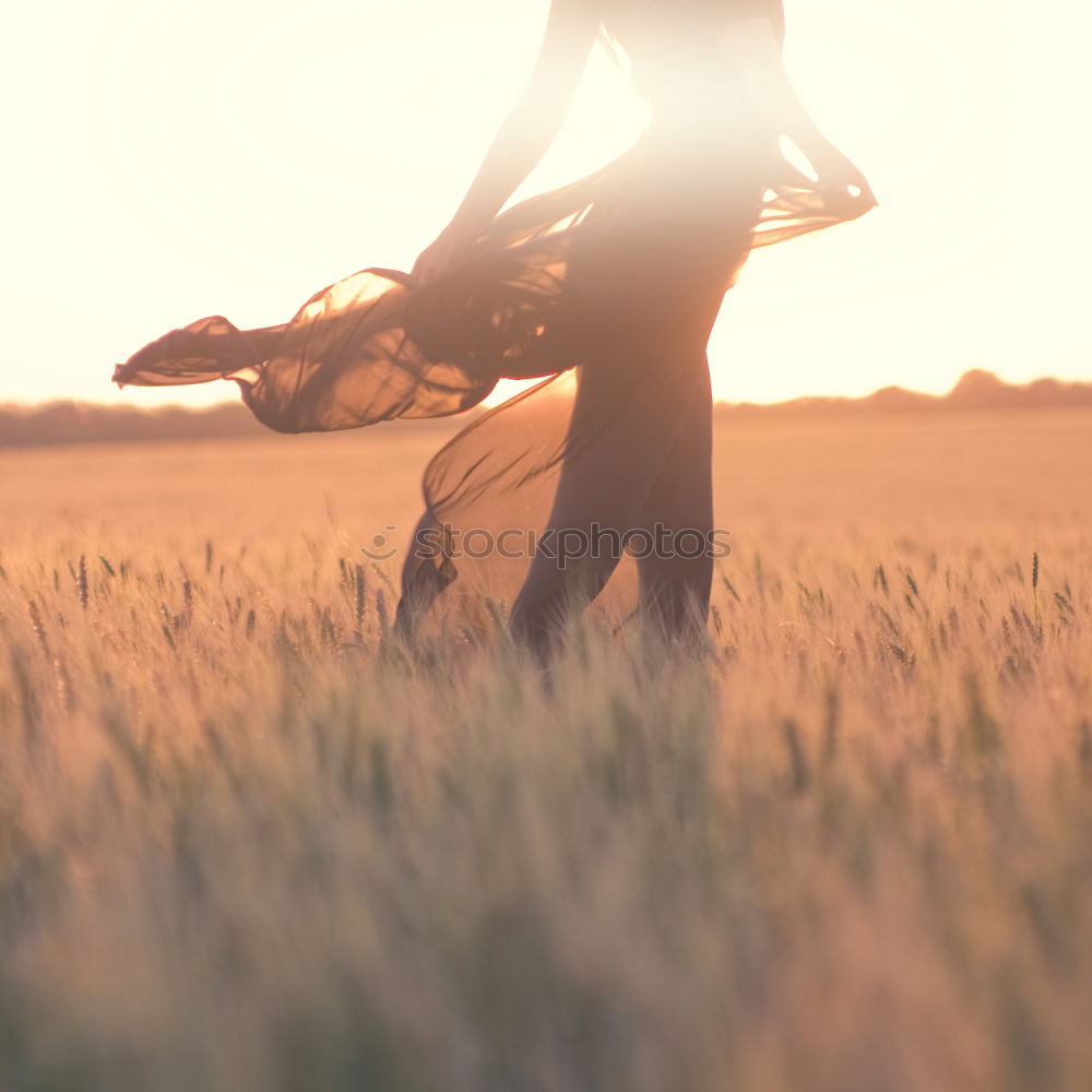 Similar – Image, Stock Photo Man with guitar in woods