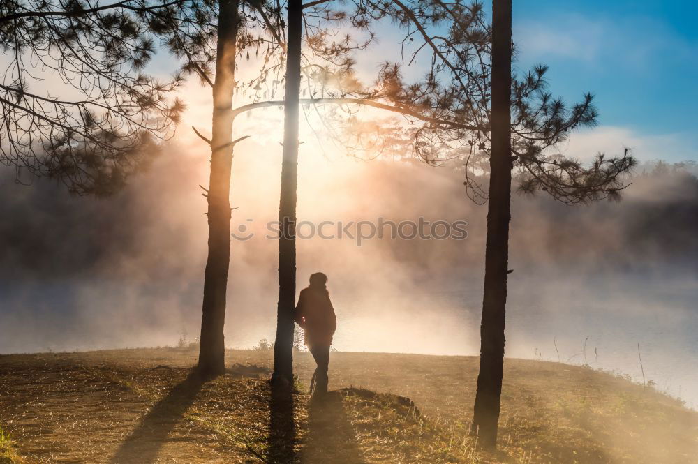 Similar – Image, Stock Photo Man in forest looking into backpack