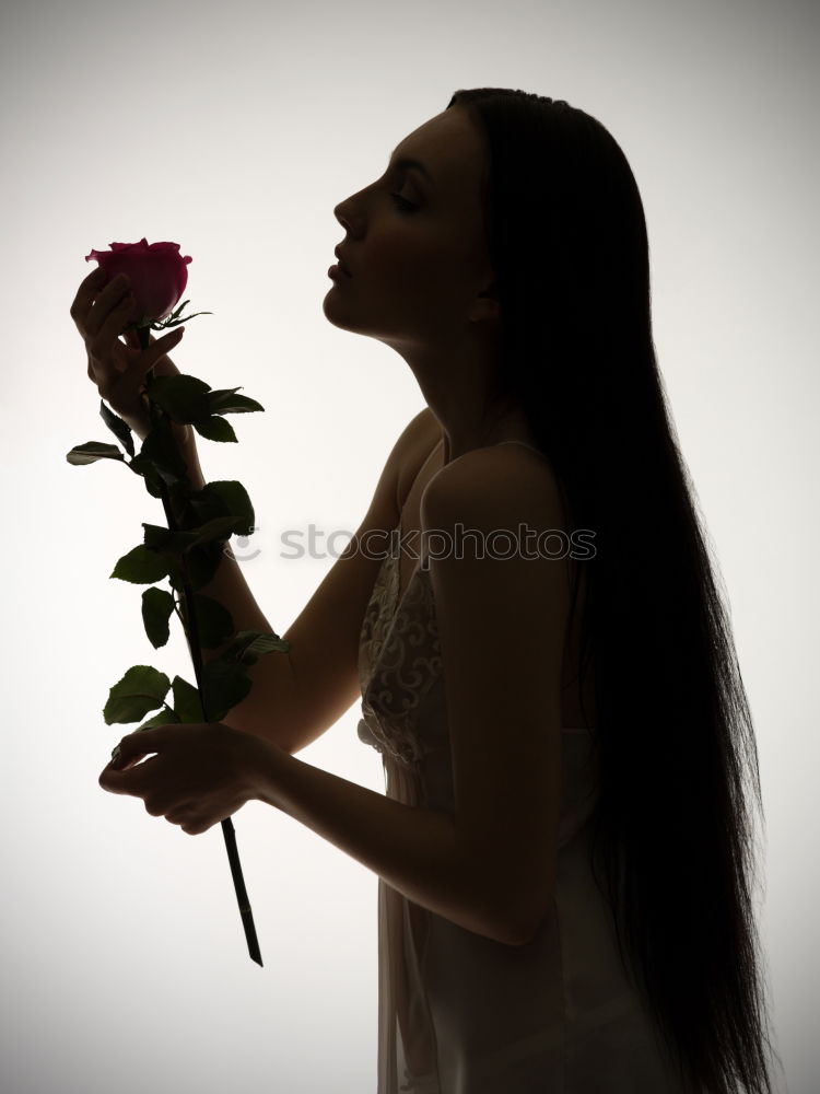 Similar – Image, Stock Photo bouquet Interior shot