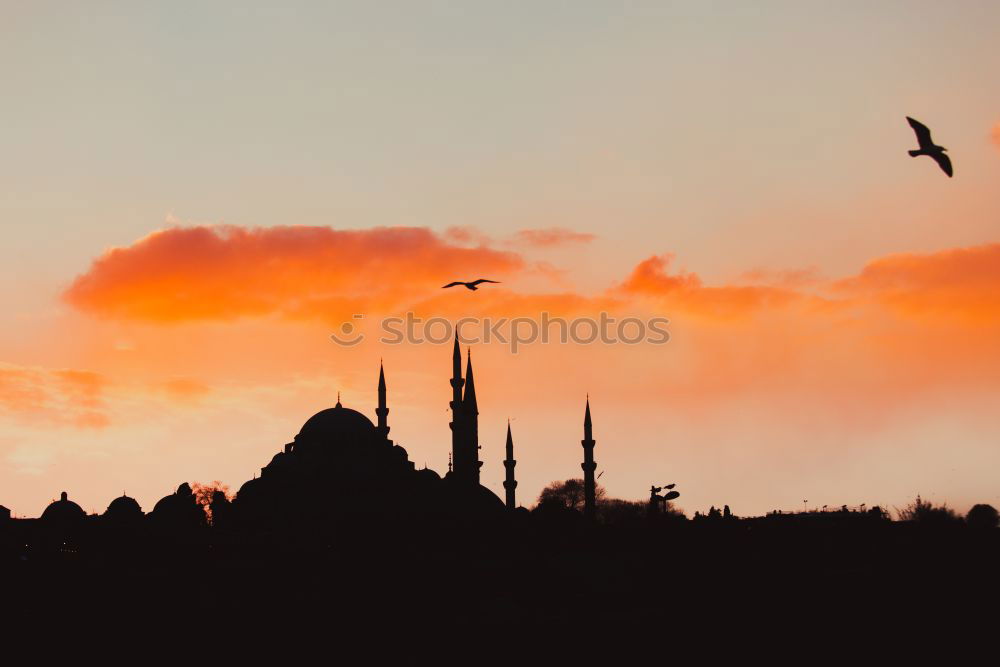 Similar – Image, Stock Photo Blue Mosque Istanbul