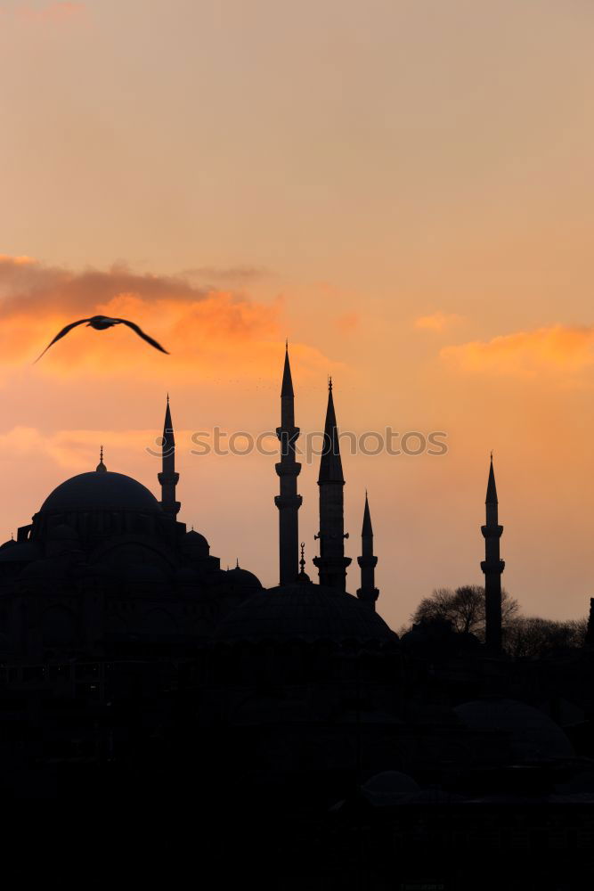 Image, Stock Photo mosque Vacation & Travel