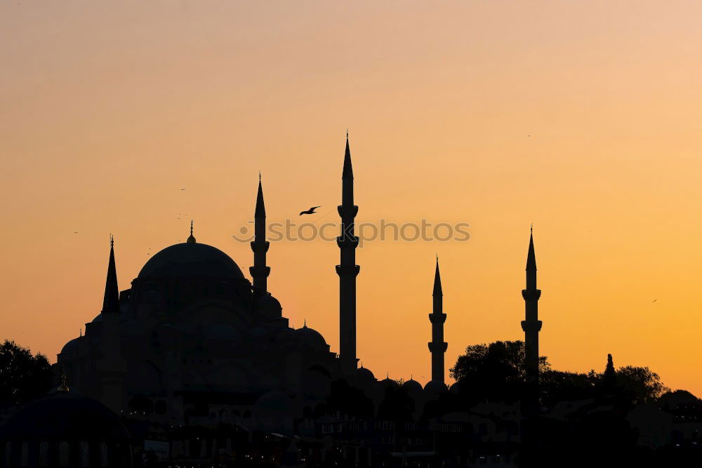 Similar – Image, Stock Photo Blue Mosque Istanbul