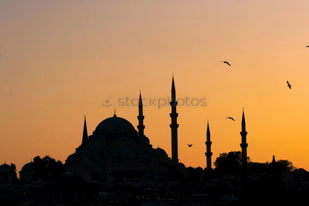 Similar – Image, Stock Photo mosque Vacation & Travel