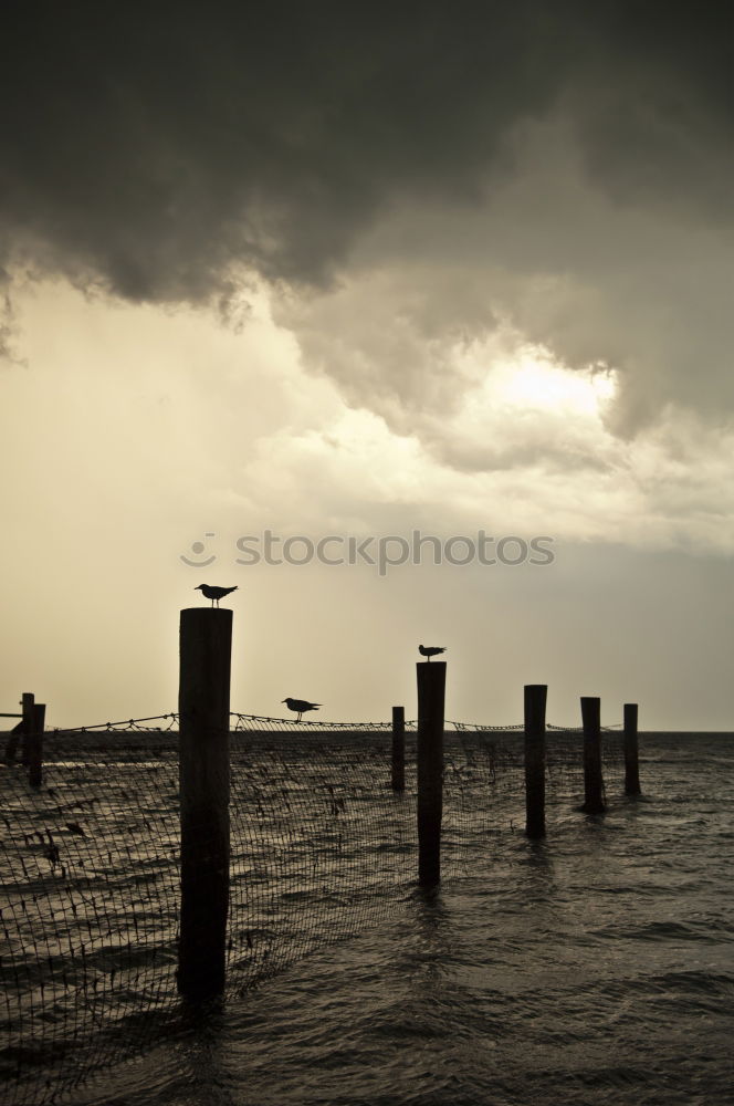 Similar – Foto Bild Verbindung nach oben: ein Holzsteg ins Meer mit einem Seil nach oben