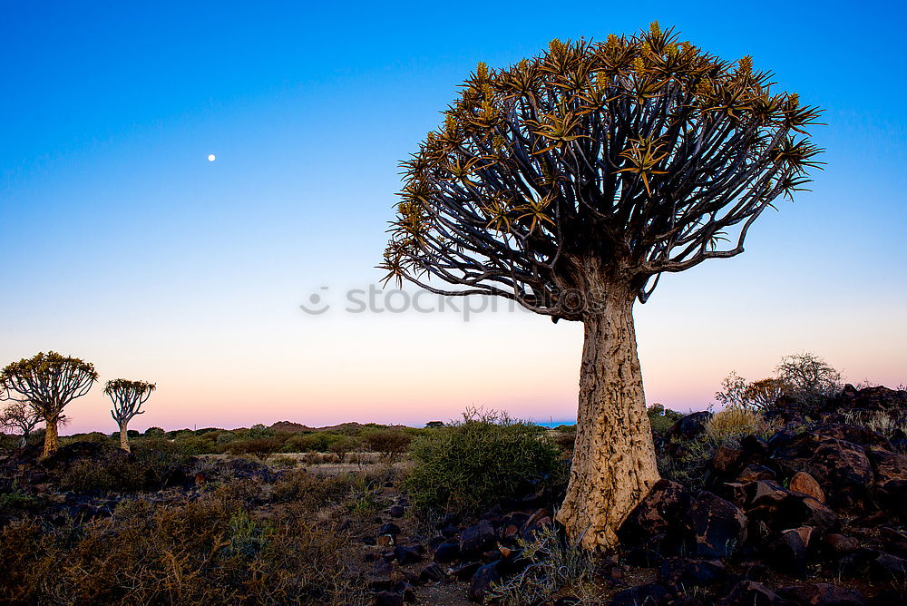 Similar – Image, Stock Photo Sao Chaliang Landscape, Amazing Natural of rock