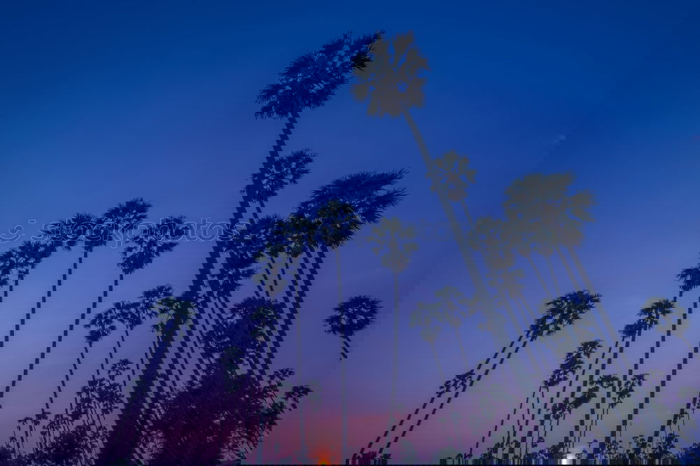 Image, Stock Photo Sunset in Venice