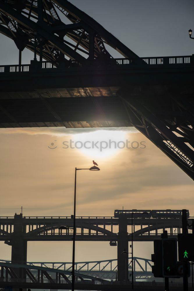 Similar – Image, Stock Photo On the Mülheim Wall