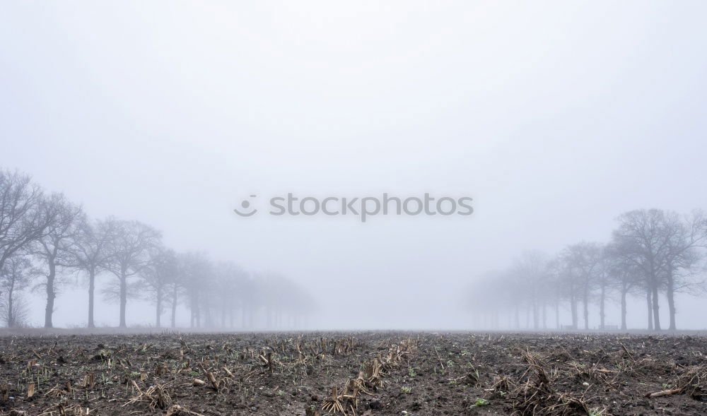 Similar – field Nature Landscape