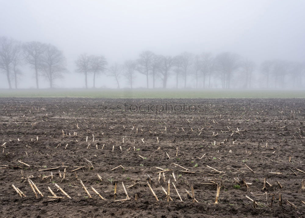 Similar – Foto Bild Kälte hängt über dem Land