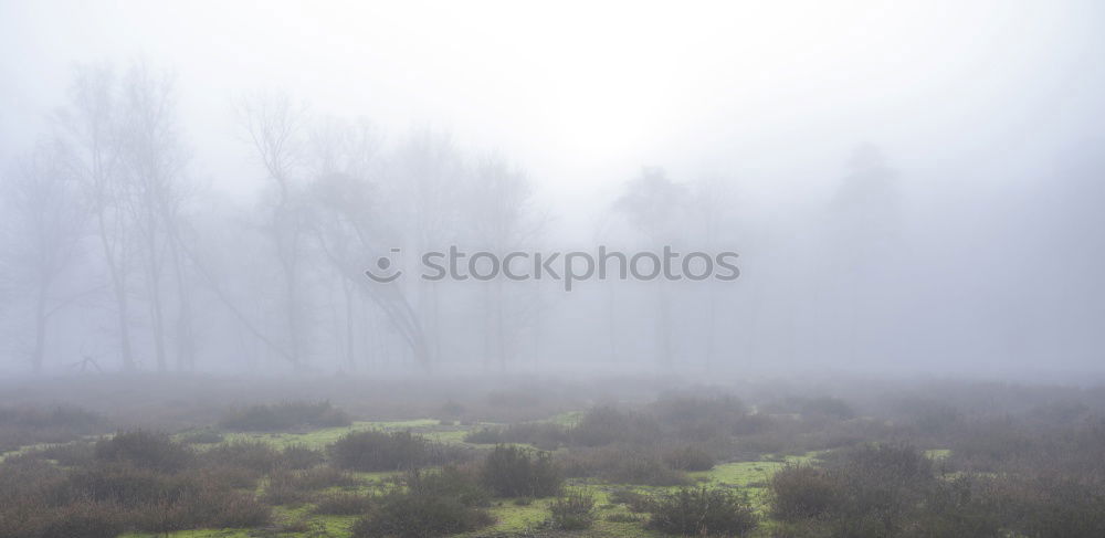 Similar – Image, Stock Photo A hermitage in the distance among autumnal trees and bushes