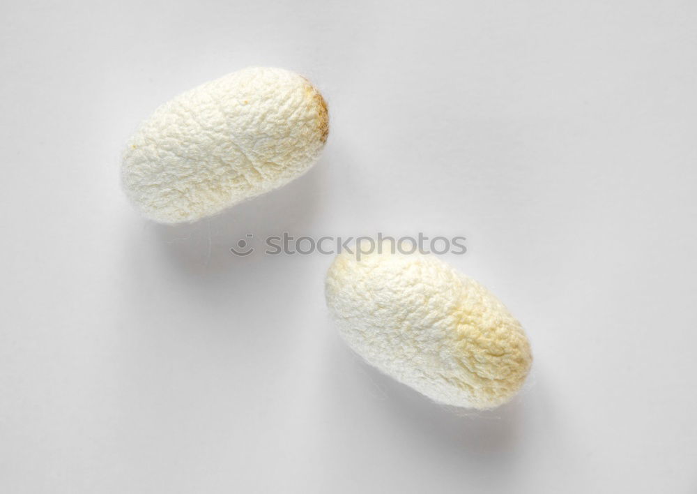 Similar – Image, Stock Photo white flower plant petals