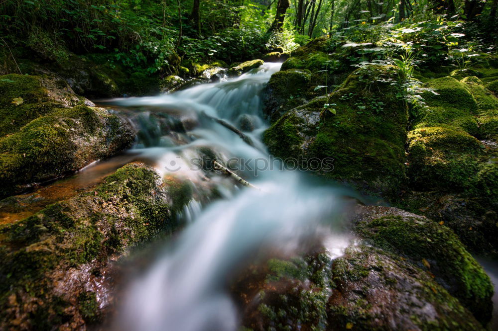 Similar – Image, Stock Photo pure nature Waterfall