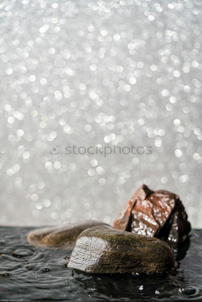 Similar – Image, Stock Photo rain barrel Elements Water